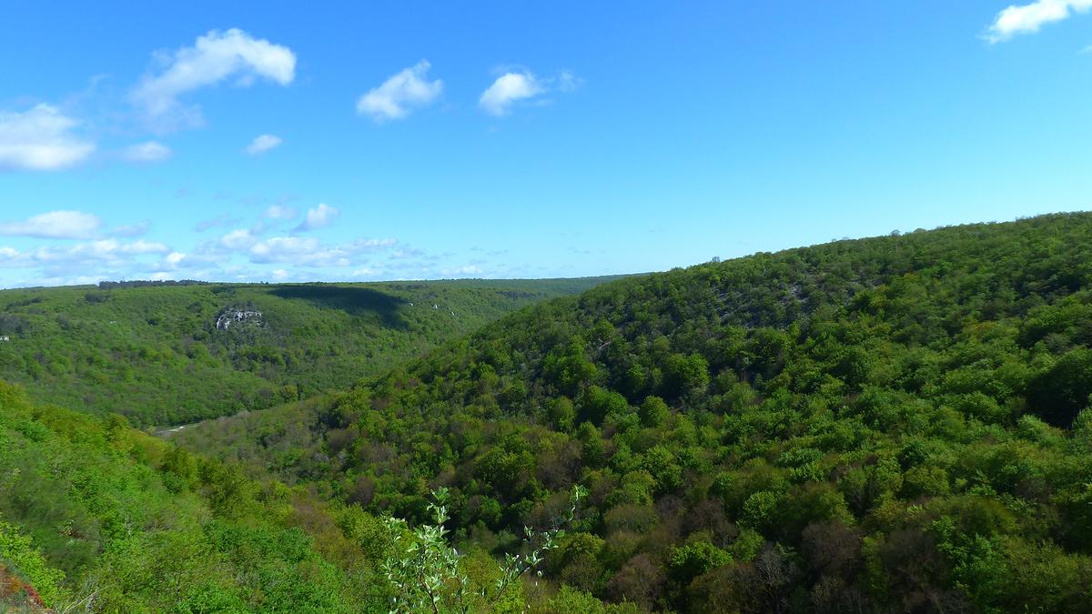 Forêt domaniale de Val Suzon (Côte-d’Or)