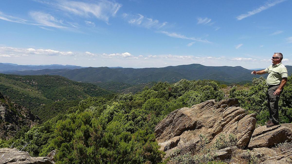 Forêt domaniale des Maures (Var)