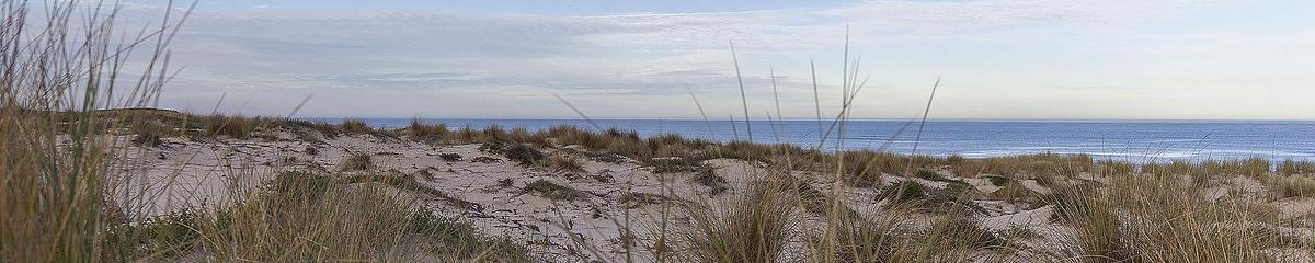 Forêts du littoral