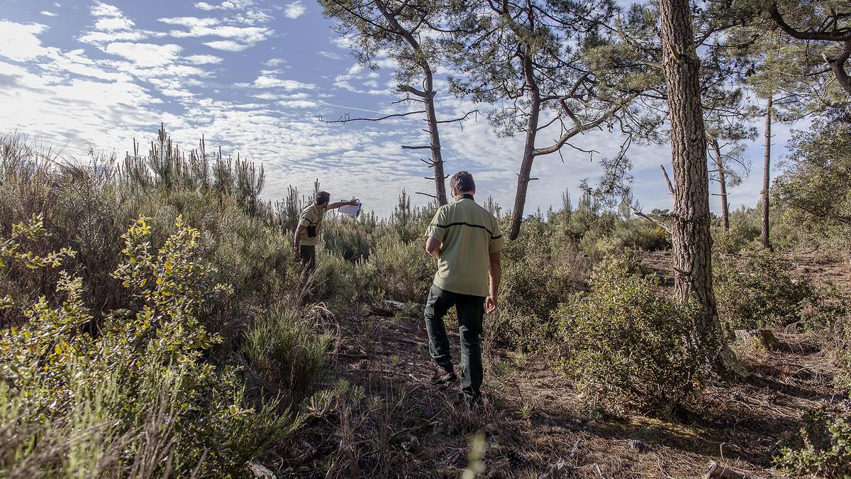 Réserve naturelle nationale des dunes et marais d’Hourtin