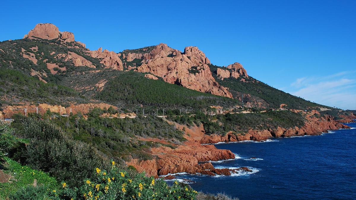 Forêt domaniale de l’Estérel