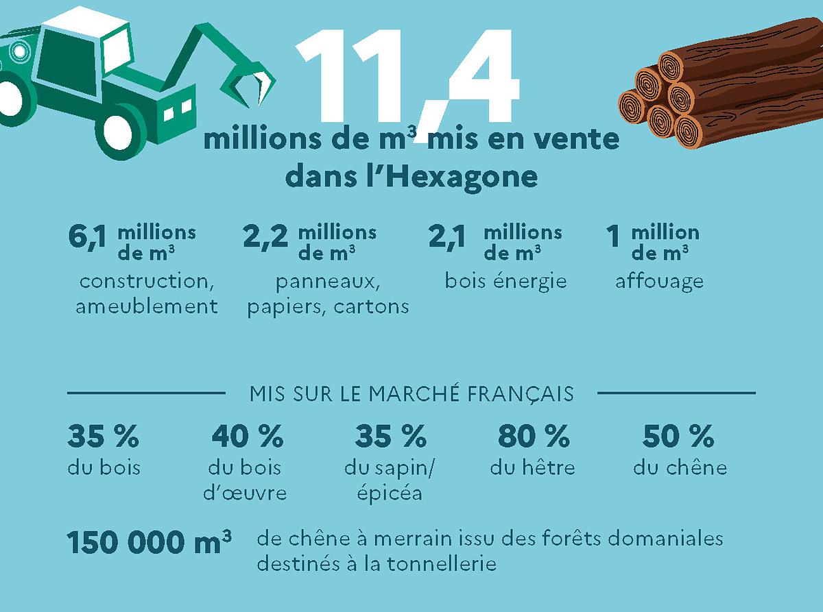 Infographie