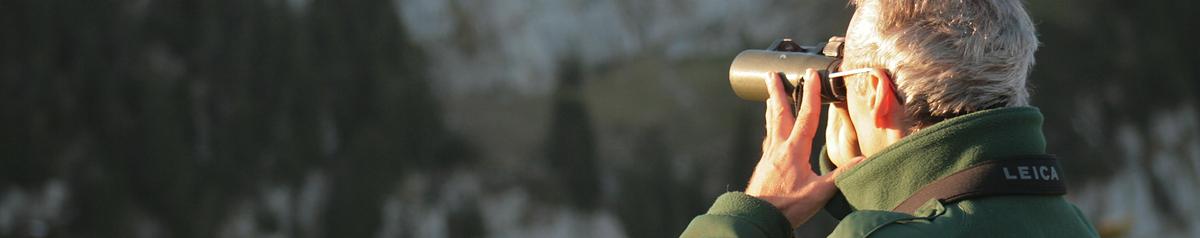 Forestier de l'ONF en inventaire avifaune